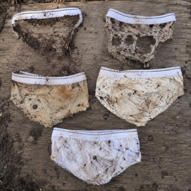 cotton underwear soil test progression