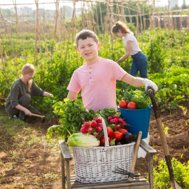 homesteading family
