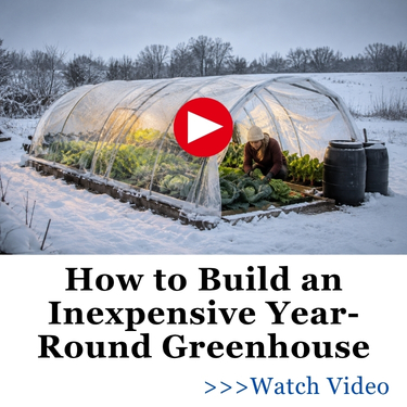 How to Build an Inexpensive Year-Round Greenhouse