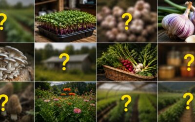 These Crops Will Make You Rich