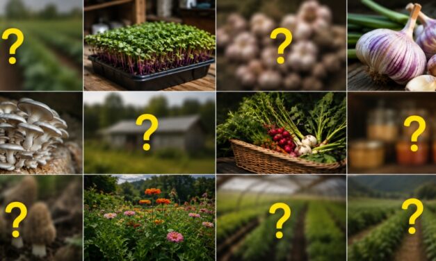 These Crops Will Make You Rich