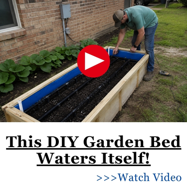 This DIY Garden Bed Waters Itself!
