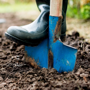person digging garden