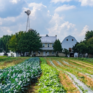 amish farm garden