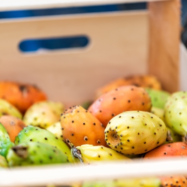 prickly pear at the store