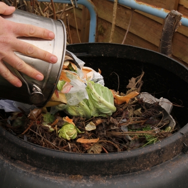 compost made from kitchen scraps