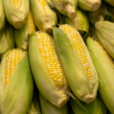 sweet corn