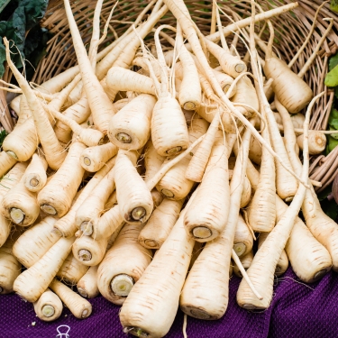 parsnip