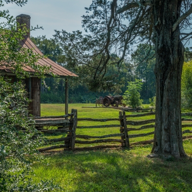 old homestead 