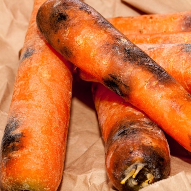 spoiled carrots 