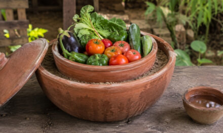 How To Turn 2 Clay Pots Into a Fridge