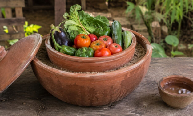 How To Turn 2 Clay Pots Into a Fridge