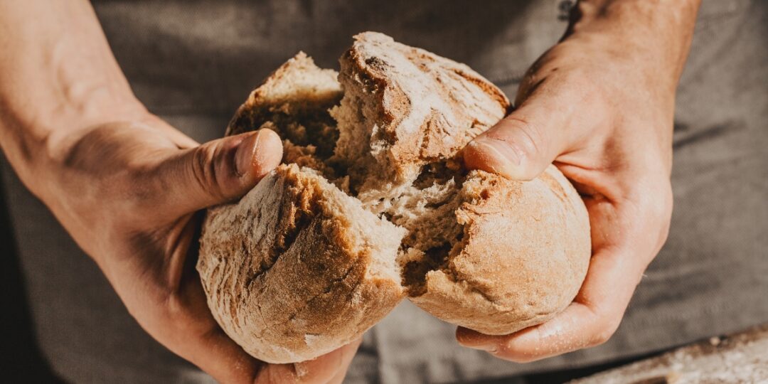 Reviving an Old Sourdough Starter