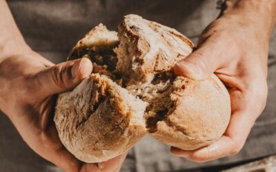 Reviving an Old Sourdough Starter