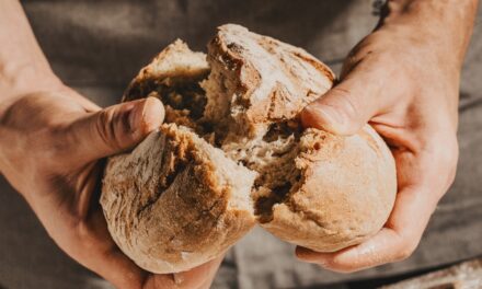 Reviving an Old Sourdough Starter