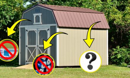 12 Things You Should Never (Ever!) Store in Your Shed