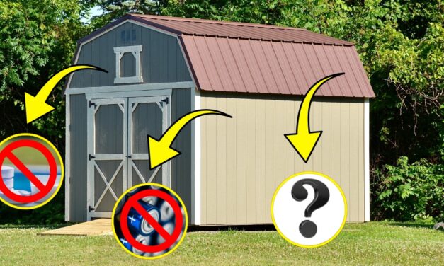 12 Things You Should Never (Ever!) Store in Your Shed