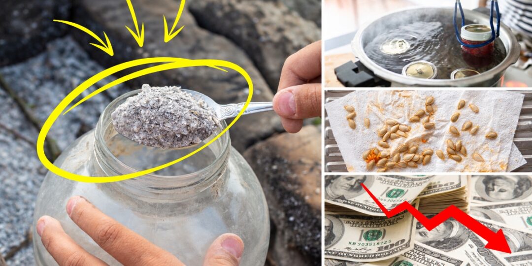 7 Old-School Homesteading Hacks That Actually Waste Money
