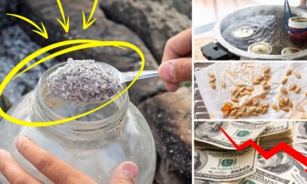 7 Old-School Homesteading Hacks That Actually Waste Money