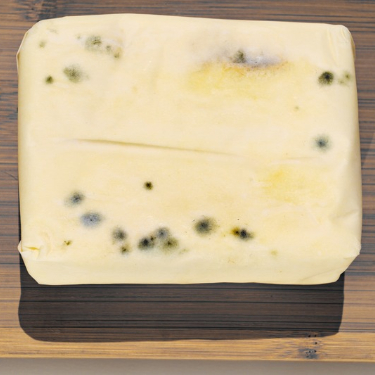 mold on butter 
