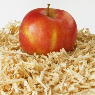 Apples in Sawdust