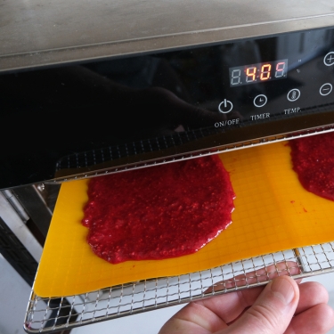fruit leather 