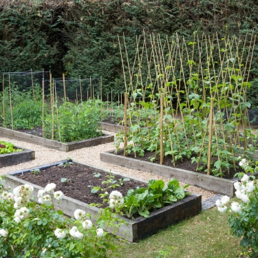 garden beds garden