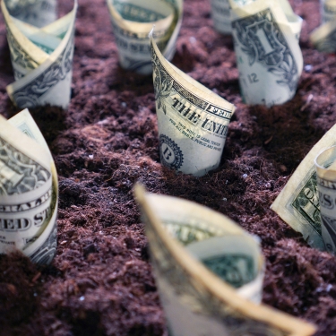 money garden