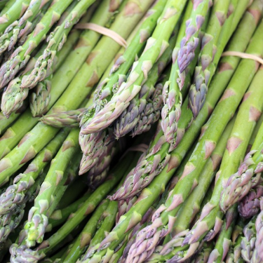 asparagus