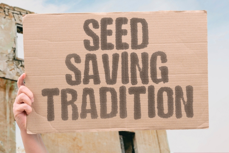 seed saving banner